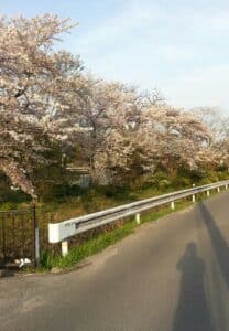 20160408_172430~3[1]